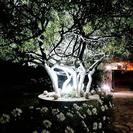 Agrotourism 3* Himarë