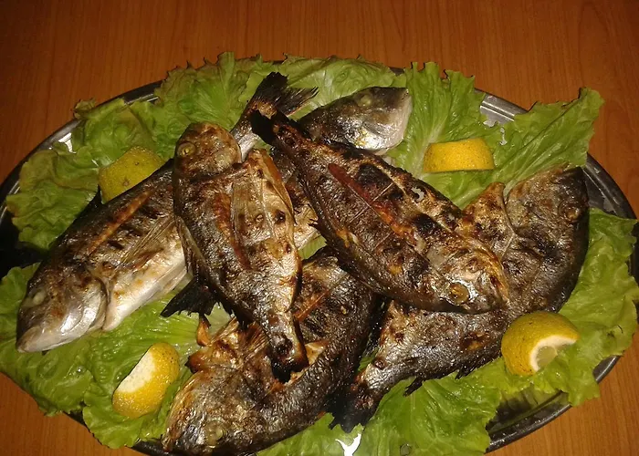 Πανσιόν Agrotourism 3*