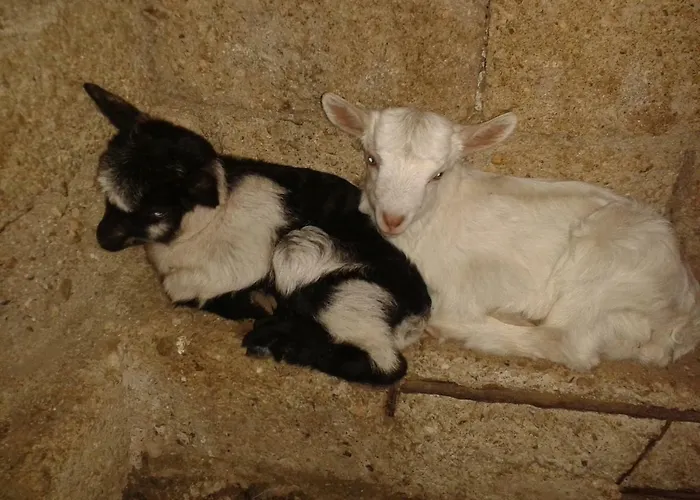Πανσιόν Agrotourism