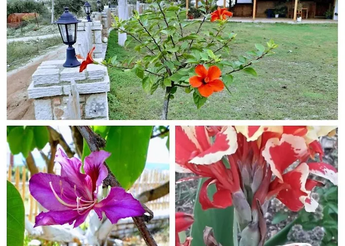 Agrotourism 3* Χειμάρρα