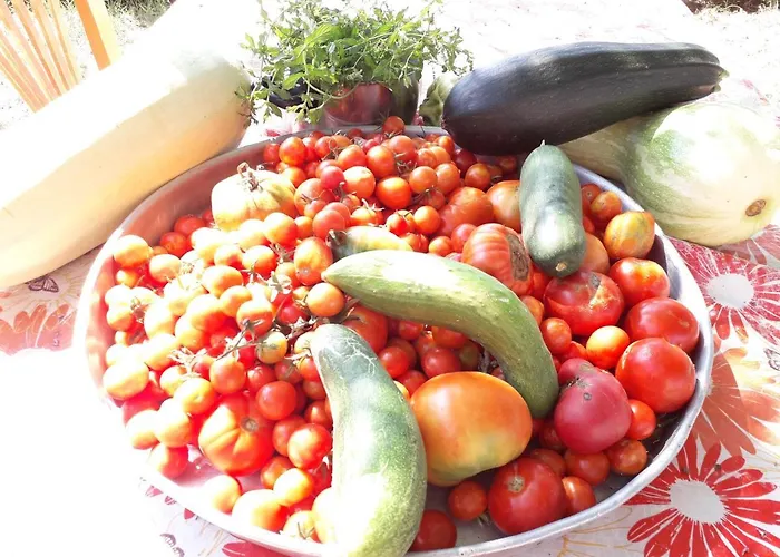 Agrotourism
