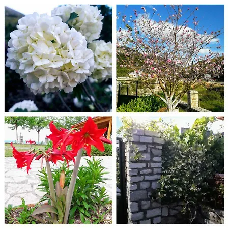 Agrotourism Guest house 3*