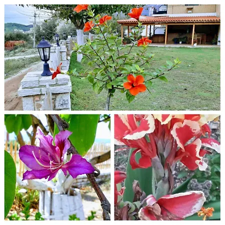 Agrotourism 3* Himare