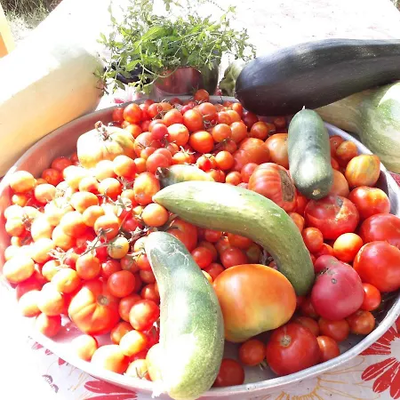 Agrotourism