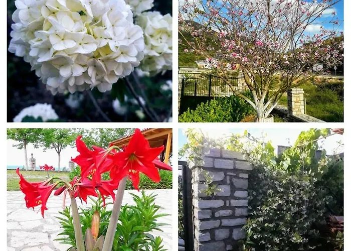 Agrotourism Vendégház 3*